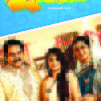 Nuvve Naa Bangaram Movie Wallpapers | Picture 599306